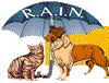Logo of RAIN - Emergency Pets Placement