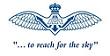 Logo of Flying Scholarships for the Disabled